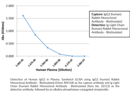 IgG2 (human) Rabbit Monoclonal Antibody - Biotinylated