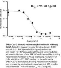 SARS-CoV-2 (human) Neutralizing Recombinant Antibody