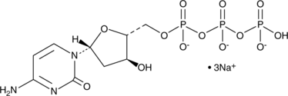 2’-Deoxy<wbr/>cytidine-5’-<wbr/>triphosphate (sodium salt)