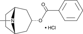 3?-Benzoyloxytropane (hydrochloride)