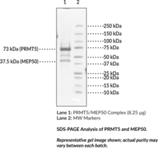 PRMT5/MEP50 Complex (human, recombinant)