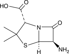 6-Amino<wbr/>penicillanic Acid