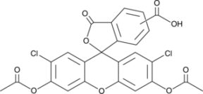 5(6)-Carboxy-<wbr/>2?,7?-dichloro<wbr/>fluorescein diacetate