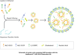 Lipid Nanoparticle (LNP-0315) Exploration Kit