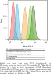 Sphingosine Kinase 2 Monoclonal Antibody (Clone 7B3)