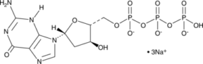 2'-Deoxyguanosine-5'-triphosphate (sodium salt)