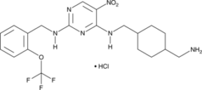 PKC? Inhibitor (hydro<wbr/>chloride)