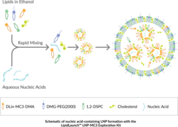 Lipid Nanoparticle (LNP-MC3) Exploration Kit