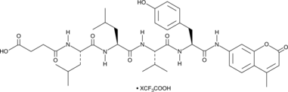 Suc-Leu-Leu-<wbr/>Val-Tyr-AMC (trifluoro<wbr/>acetate salt)