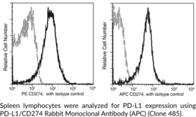 PD-L1/CD274 Rabbit Monoclonal Antibody (APC)