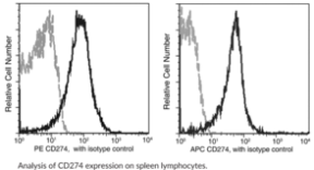 PD-L1/CD274 Rabbit Monoclonal Antibody (PE)