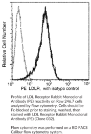 LDL Receptor Rabbit Monoclonal Antibody (PE)