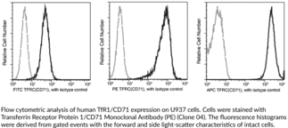 Transferrin Receptor Protein 1/CD71 Monoclonal Antibody (PE)