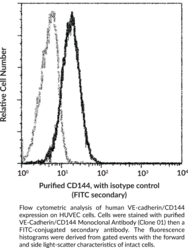 VE-Cadherin/CD144 Monoclonal Antibody