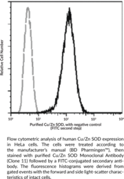 Cu/Zn SOD Monoclonal Antibody