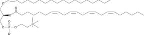 1-1(Z)-<wbr/>Octadecenyl-<wbr/>2-Adrenoyl-<wbr/><em>sn</em>-glycero-3-PC