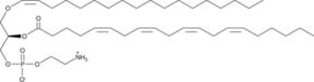 1-1(Z)-Octadecenyl-2-Arachidonoyl-<em>sn</em>-glycero-3-PE