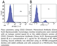 CD22 Chimeric Monoclonal Antibody