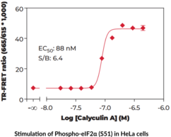 eIF2? (Phospho-Ser<sup>51</sup>) TR-FRET Assay Kit