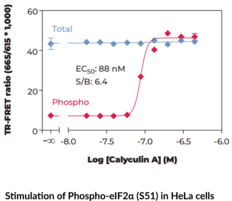 eIF2? (Total) TR-FRET Assay Kit