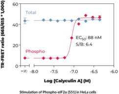 eIF2? (Total) and eIF2? (Phospho-Ser<sup>51</sup>) TR-FRET Assay Kit