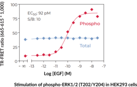 ERK1/2 (Total) and ERK1/2 (Phospho) TR-FRET Assay Kit