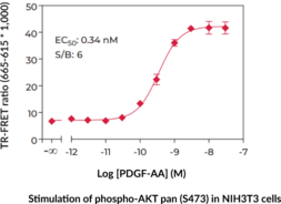pan-Akt (Phospho-Ser<sup>473</sup>) TR-FRET Assay Kit