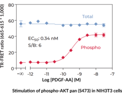 pan-Akt (Total) and pan-Akt (Phospho-Ser<sup>473</sup>) TR-FRET Assay Kit