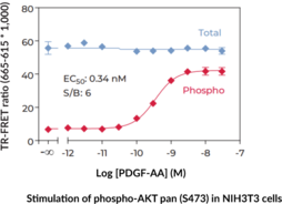 pan-Akt (Total) TR-FRET Assay Kit