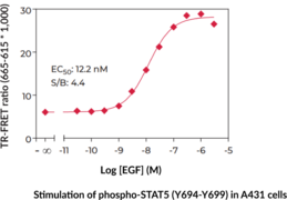 STAT5 (Phospho-Tyr<sup>694/699</sup>) TR-FRET Assay Kit