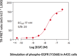 EGFR (Phospho-Tyr<sup>1068</sup>) TR-FRET Assay Kit