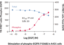 EGFR (Total) and EGFR (Phospho-Tyr<sup>1068</sup>) TR-FRET Assay Kit