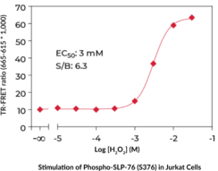 SLP-76 (Phospho-Ser<sup>376</sup>) TR-FRET Assay Kit