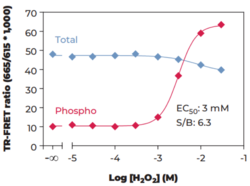 SLP-76 (Total) and SLP-76 (Phospho-Ser<sup>376</sup>) TR-FRET Assay Kit