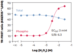 SLP-76 (Total) TR-FRET Assay Kit