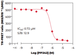 4E-BP1 (Phospho-Thr<sup>37/46</sup>) TR-FRET Assay Kit