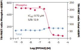 4E-BP1 (Total) and 4E-BP1 (Phospho-Thr<sup>37/46</sup>) TR-FRET Assay Kit