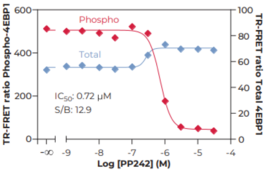 4E-BP1 (Total) TR-FRET Assay Kit