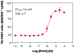 Bad (Phospho-Ser<sup>112</sup>) TR-FRET Assay Kit