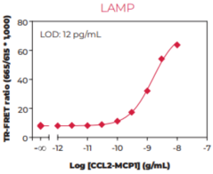 CCL2/MCP-1 (human) TR-FRET Biomarker Assay Kit