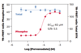 BTK (Total) TR-FRET Assay Kit
