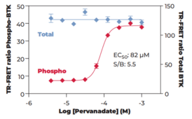 BTK (Total) and BTK (Phospho-Tyr<sup>223</sup>) TR-FRET Assay Kit