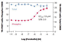 CREB (Total) and CREB (Phospho-Ser<sup>133</sup>) TR-FRET Assay Kit