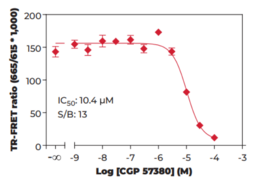 eIF4E (Phospho-Ser<sup>209</sup>) TR-FRET Assay Kit