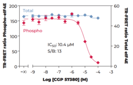 eIF4E (Total) TR-FRET Assay Kit