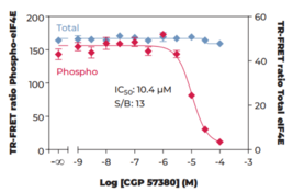 eIF4E (Total) and eIF4E (Phospho-Ser<sup>209</sup>) TR-FRET Assay Kit