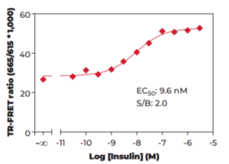 GSK3? (Phospho-Ser<sup>9</sup>) TR-FRET Assay Kit