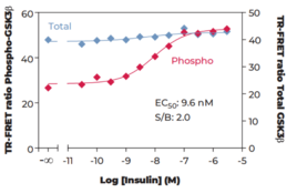 GSK3? (Total) TR-FRET Assay Kit