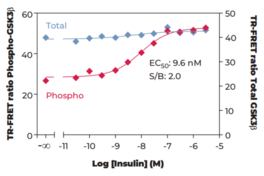 GSK3? (Total) and (Phospho-Ser<sup>9</sup>) TR-FRET Assay Kit