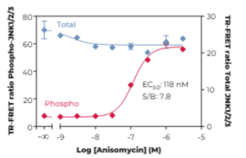 JNK1/2/3 (Total) and JNK1/2/3 (Phospho-Thr<sup>183</sup>/Tyr<sup>185</sup>) TR-FRET Assay Kit